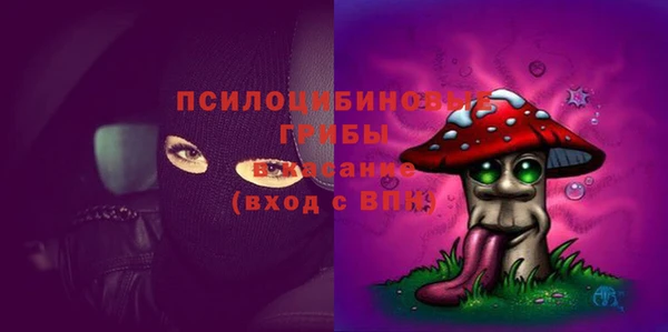 ПСИЛОЦИБИНОВЫЕ ГРИБЫ Абинск