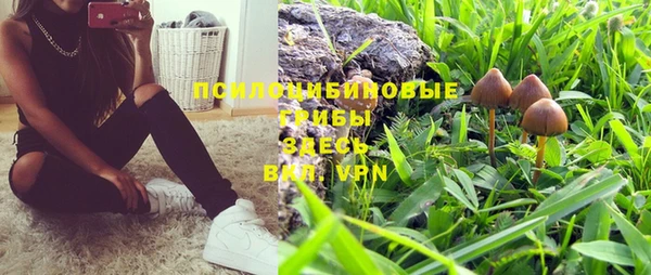 ПСИЛОЦИБИНОВЫЕ ГРИБЫ Абинск
