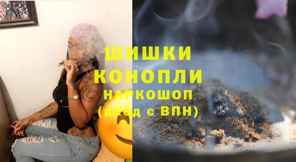 ECSTASY Елизово
